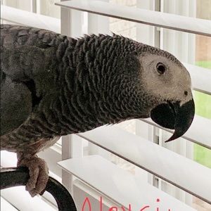 Meet your Posher, Ellen